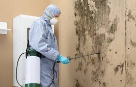 Best Air Quality Testing for Mold Spores  in Delta, OH